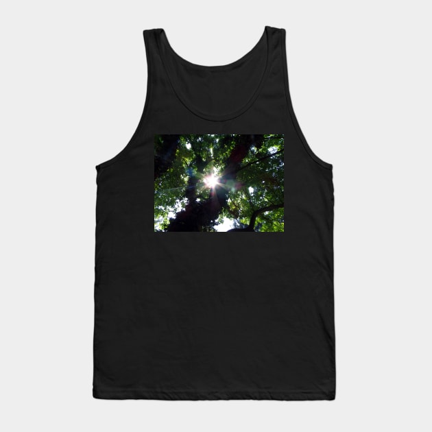 Sunbeam Art Photography Sunshine Shining Through The Summer Tree Beautiful Nature Tank Top by tamdevo1